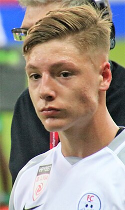 Alexander Prass - Austria National Football Team player