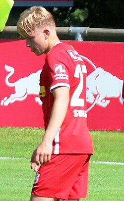 Daniel Svensson - Sweden National Football Team player