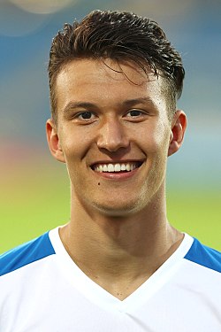 Dejan Ljubičić - Austria National Football Team player