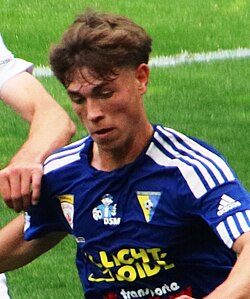 Ermin Mahmić - Bosnia and Herzegovina National Football Team player