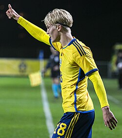 Lucas Bergvall - Sweden National Football Team player