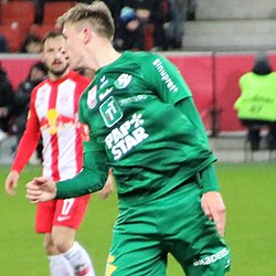Michael Svoboda - Austria National Football Team player