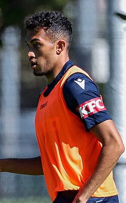 Nishan Velupillay - Australia National Football Team player
