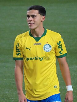 Ramón Sosa - Paraguay National Football Team player