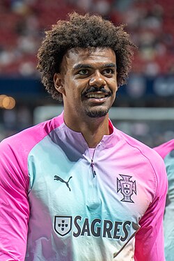 Renato Veiga - Portugal National Football Team player