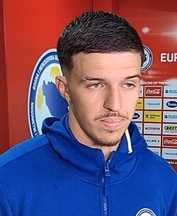 Tarik Muharemović - Bosnia and Herzegovina National Football Team player