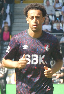 Tyler Adams - United States National Football Team player